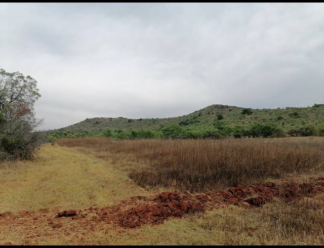 21HA FARM FOR SALE IN MOOINOOI